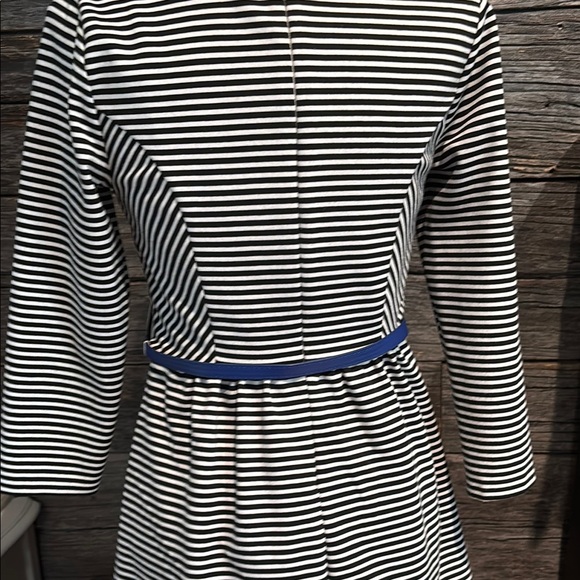 The Limited black and white striped dress with blue belt - Picture 10 of 13